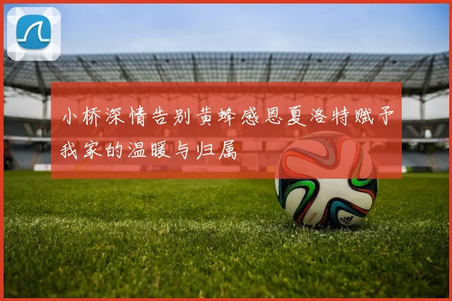 小桥深情告别黄蜂感恩夏洛特赋予我家的温暖与归属